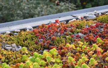 the cost of Botallack green roof installation