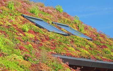 Botallack living roof systems